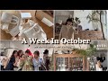 【10月VLOG】東京/岐阜/名古屋/ショッピング/日々の装い/食べログ