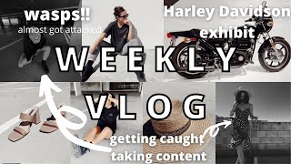 Weekly Vlog Harley Davidson Exhibit Getting Caught Taking Content Stung By A Wasps