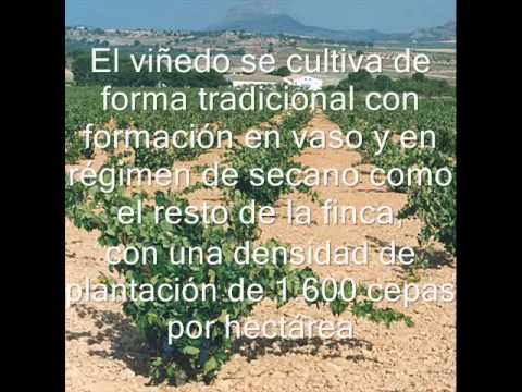 Casa Castillo - YouTube