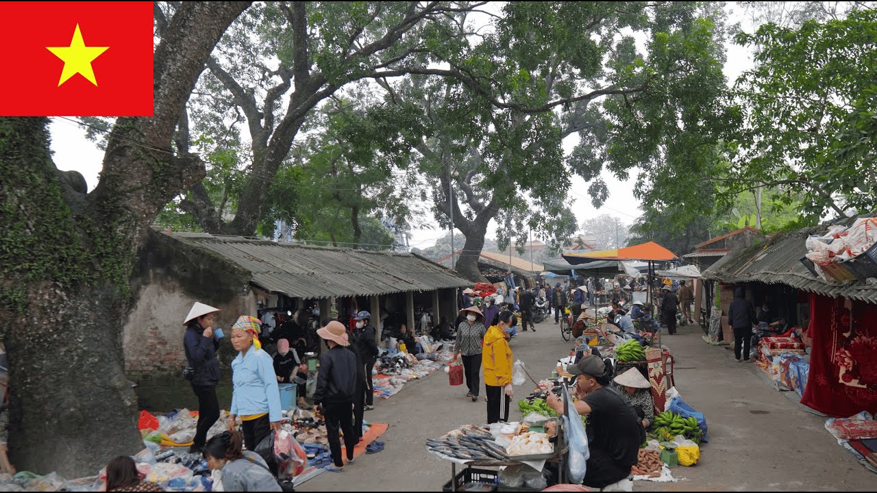 Реальная жизнь во Вьетнаме: изучение местного рынка в Ниньбине