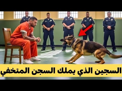مسلسل ملك السجن المتخفي بين النيران السجين الذي يملك السجن