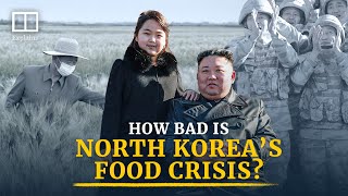 North Korea’s food crisis: How hungry are people in the hermit kingdom?