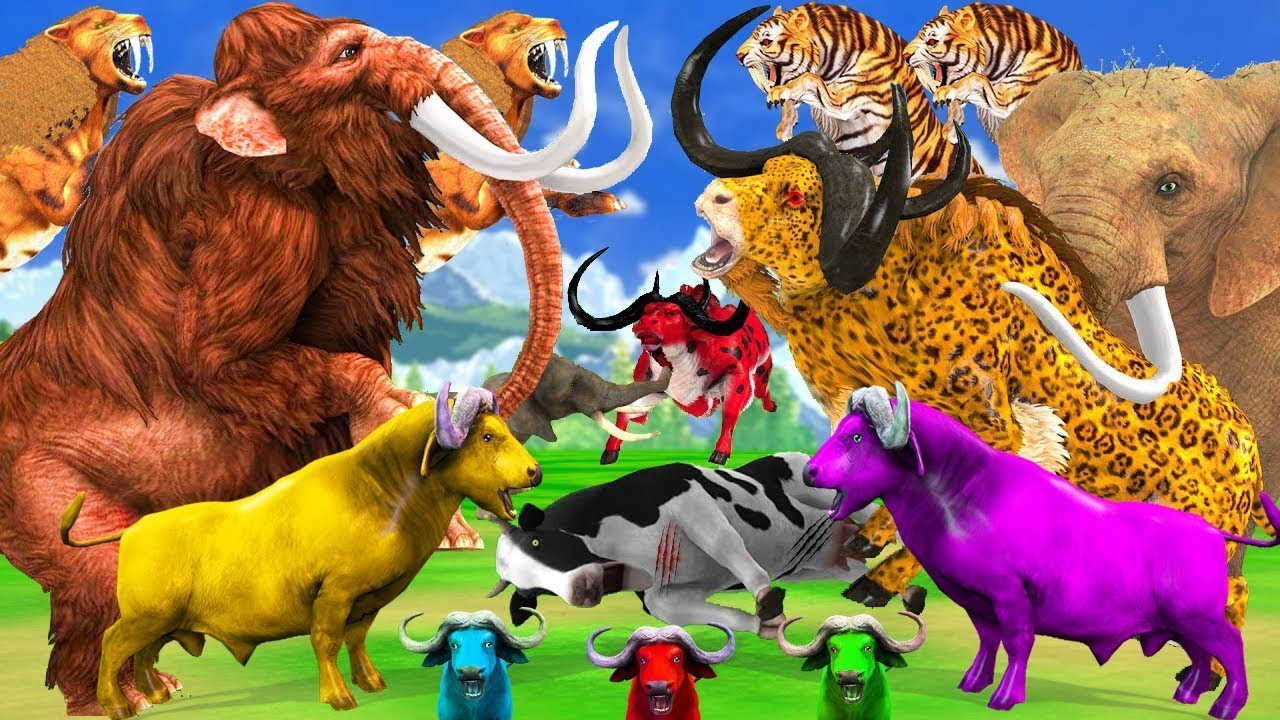 Giant Elephant Attacks Cow Cartoon 2 Buffalo and Bulls Saved By Giant Tiger Bull vs Woolly Mammoth