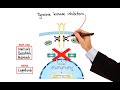 Pharmacology - CANCER DRUGS – CELL CYCLE SPECIFIC AND NONSPECIFIC AGENTS (MADE EASY)