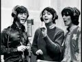 The Beatles - Hey Bulldog isolated bass track, bass only