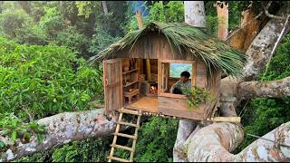 Building a Survival Treehouse Shelter on a Giant Ancient Tree