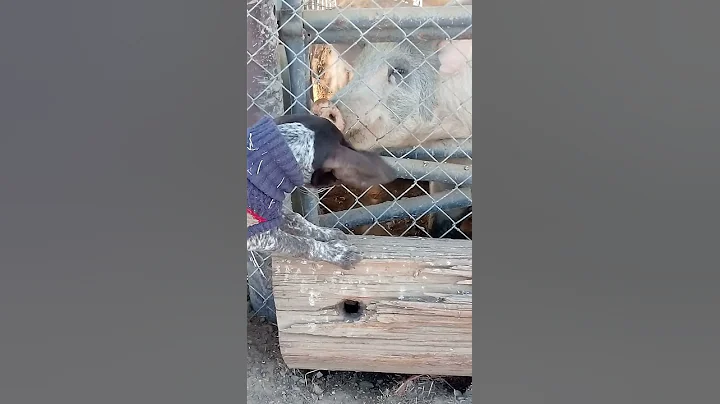 Deuce and his  friends