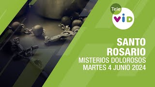 Santo Rosario de hoy Lunes 3 Junio de 2024 📿 Misterios Gozosos #TeleVID #SantoRosario