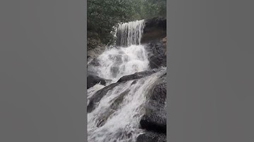 #nature# bamu university