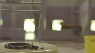 'Am I Cute' poetic documentary short film