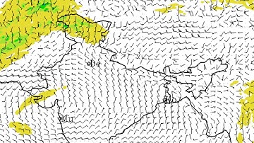 Cold Wave Tightens Grip on Central & South India; Dense Fog Blankets North & Northeast
