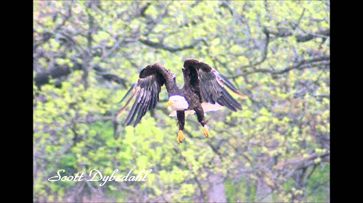 Amateur Photography Group Inspirational Photos Vid...