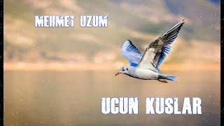 Mehmet Üzüm uçun kuşlar Resimi