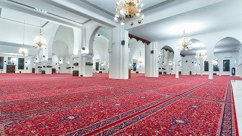 سورة الطور كاملة الشيخ خالد الجليل ١٤٤٥هـ | 2024