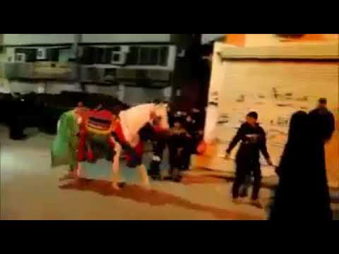 حصان يترك ساحة التمثيل ويتجه نحو أمرأه تمثل دور السيدة زينب ع مقطع مؤثر