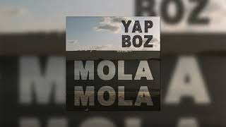 Mola Mola - Yapboz Resimi