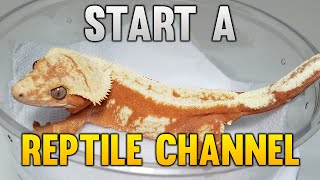 How To Start A YouTube Channel For Reptile Breeders! 2/2