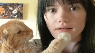 Shy rescue cat loves only one human