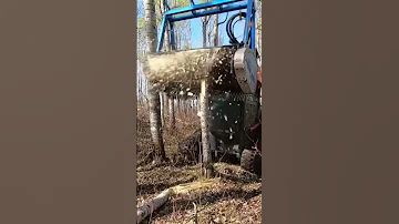 Drum Mulcher Shreds Tree Mulcher Skidsteerattachments 