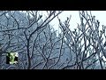 チャイコフスキー：12月 クリスマス / アシュケナージ 1998