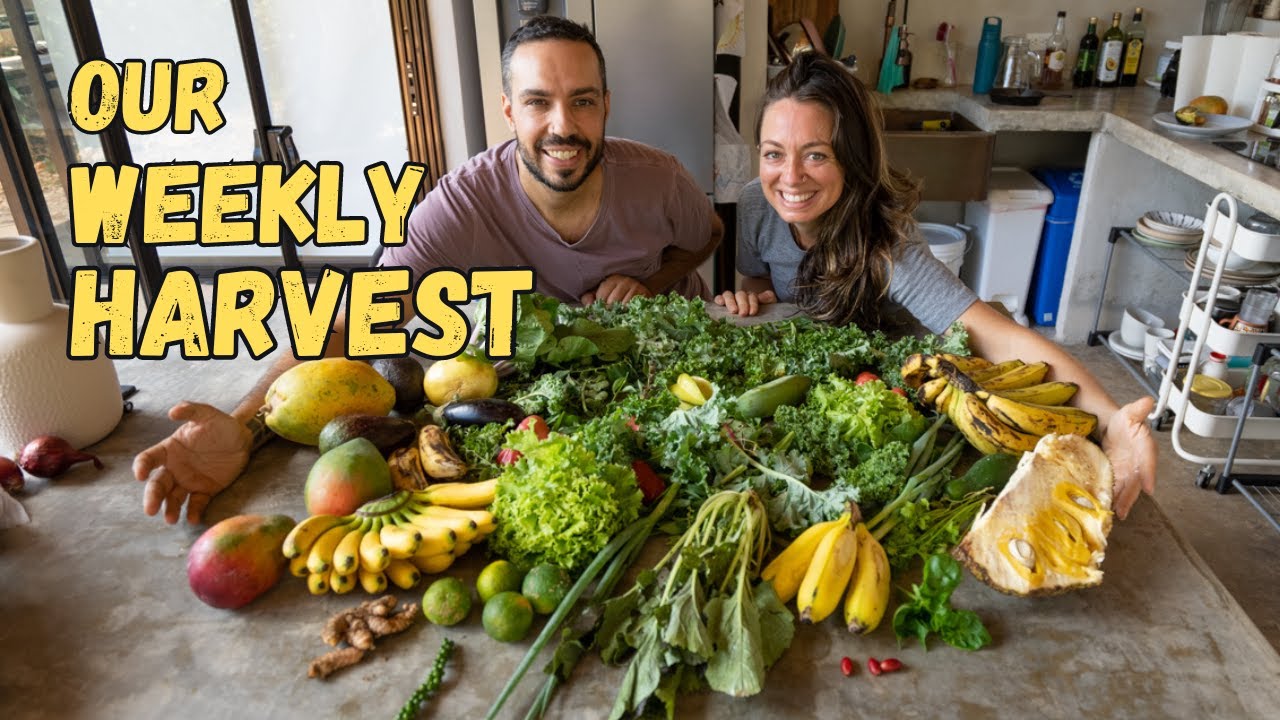 Growing POUNDS of Food EVERY WEEK for an Entire Community | Full Tour in Our Eco Village, Costa Rica