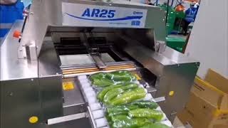 vegtable packaging machine/ customer case