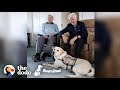 Former President's Service Dog Is SO Excited To See His Mom | The Dodo Reunited Season 2