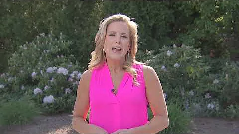 Boston 25 News' Anchor Vanessa Welch Shares Why Sh...