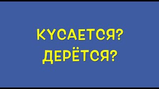 ПОЧЕМУ РЕБЁНОК БЬЁТ И КУСАЕТ СВОИХ РОДИТЕЛЕЙ!(, 2016-06-25T14:26:09.000Z)