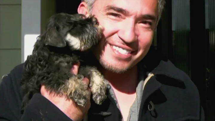 Dog Whisperer with Cesar Millan