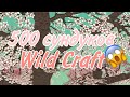 500 СУНДУКОВ С ПОДПИСКОЙ WILD CLUB || Wild Craft