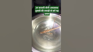 29 जनवरी मौनी अमावस्या तुलसी की लकड़ी से करें यह छोटा सा उपाय   #pradeepmishrakeupay #mahadevbhkt