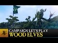 Total War: WARHAMMER - Realm of the Wood Elves - Campaign Let's Play