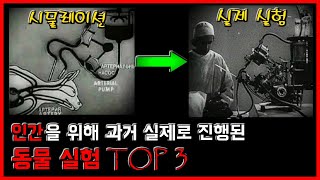 인간을 위해 진행된 믿기힘든 동물 실험 TOP 3 [무서운 이야기][괴담] - 숫노루TV