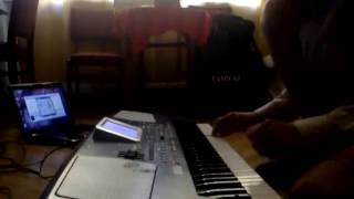 Gonzo - Korg PA 500 - Avicii - Wake me up (+Avicii vocal)