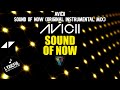 Miniature de la vidéo de la chanson Sound Of Now (Original Instrumental Mix)