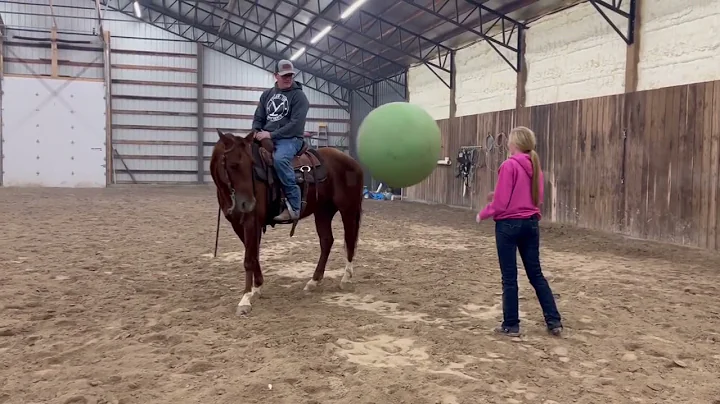 Cain Ranch Shooting Horses For Sale