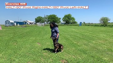 UKC Rally Exercises: 405 & 406. HALT- 90° Pivot Right/Left-HALT-180° Pivot Left/Right-HALT