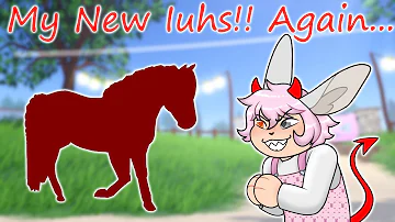 Meet My New IUHs AGAIN in Wild Horse Islands!!