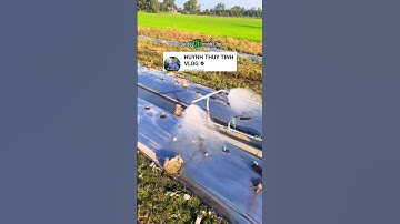 bất ngờ trước máy cắt cỏ chế làm máy tưới nước đơn giản hiệu quả