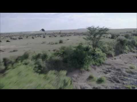 Video: Kenya ve Tanzanya'daki Büyük Göç Nasıl Yaşanır?