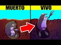 Animales ms impresionantes de todo el mundo