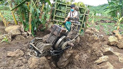 Xe công nông chở chuối đường đắ lây lun cực kỳ khó khăn