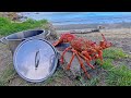 NZed Divers - CRAYFISH CATCH N COOK (New Zealand Freediving & Beach Cleanup!!!)