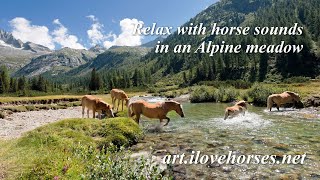 Horse Sounds in an Alpine Meadow 🐎 ASMR, Relaxation, Meditation, Sleep - A Horse Story in Sounds screenshot 5