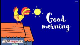 Good morning animated video|Good morning |Good morning wishes|morning screenshot 5