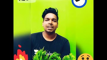 दिल मेरा जिद्दी बड़ा था । शायरी । Poetry । Virendra Singh