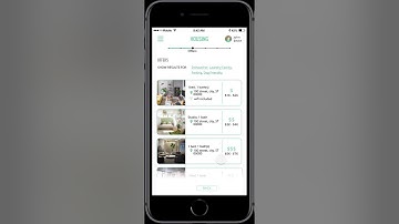 Iterative Design & User Testing