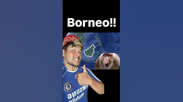 Borneo, the strange island where everything flies