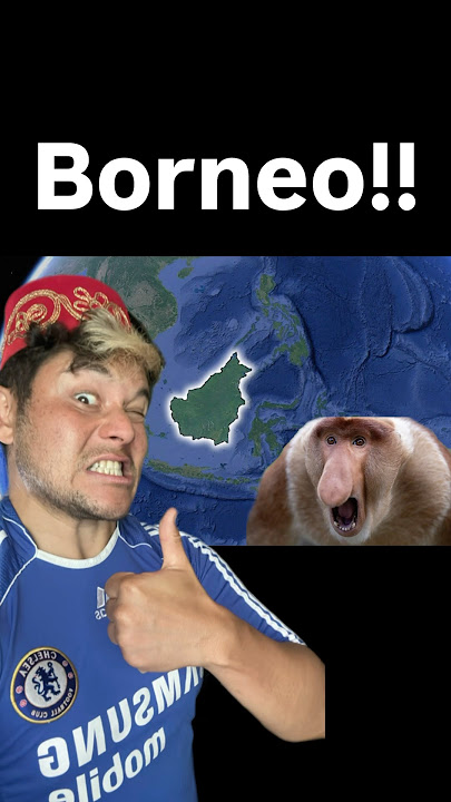 Borneo, the strange island where everything flies